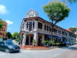 Joo Chiat Road (D15), Shop House #607856491